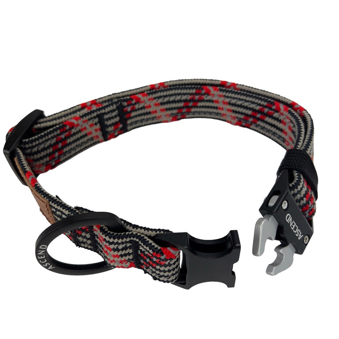 Ascend Sequoia Collars