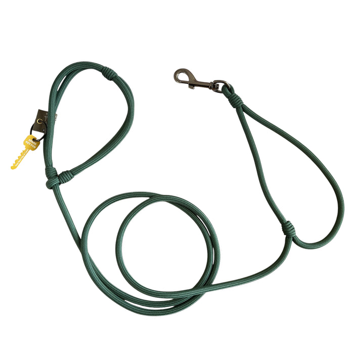 American Running Lead