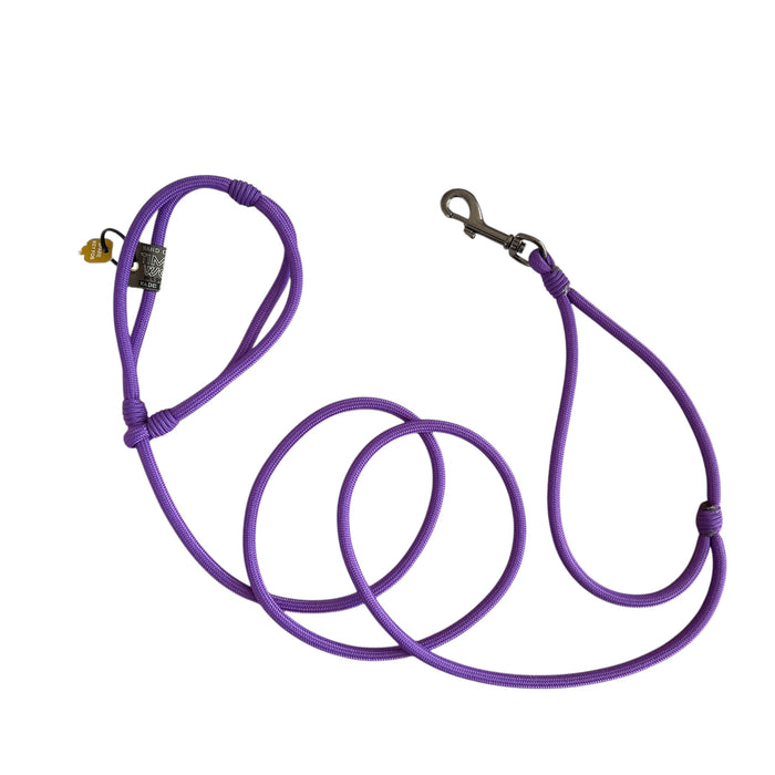 American Running Lead