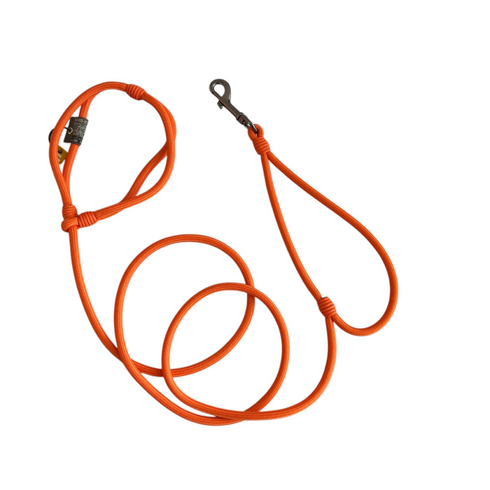 American Running Lead