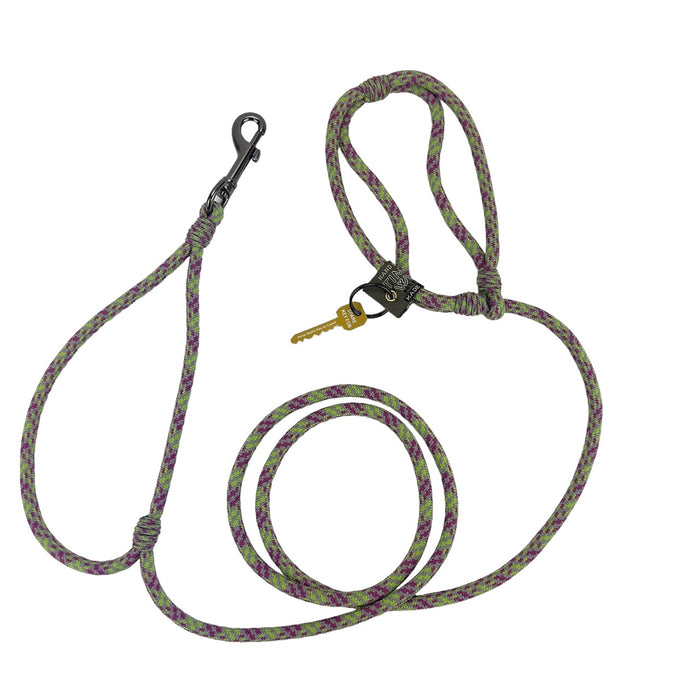 American Running Lead