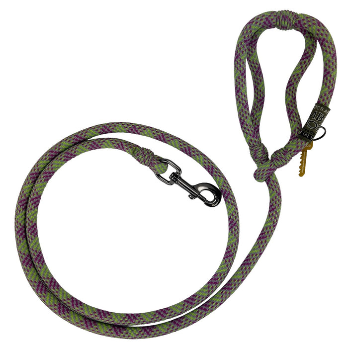 American Running Lead