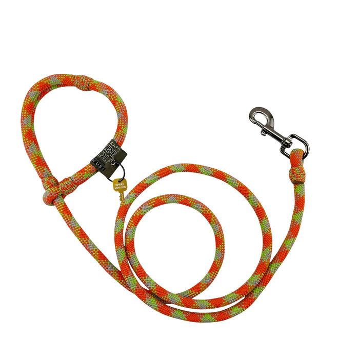 American Running Lead