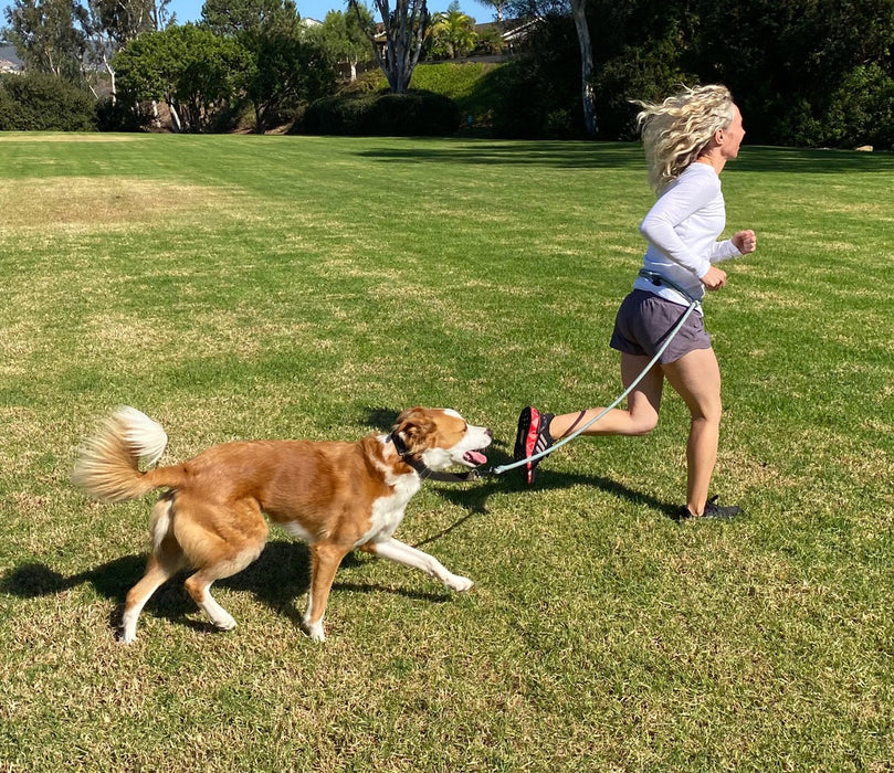 American Running Lead