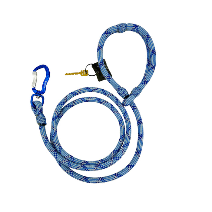 Ascend American Lead