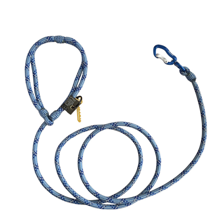 Ascend American Lead