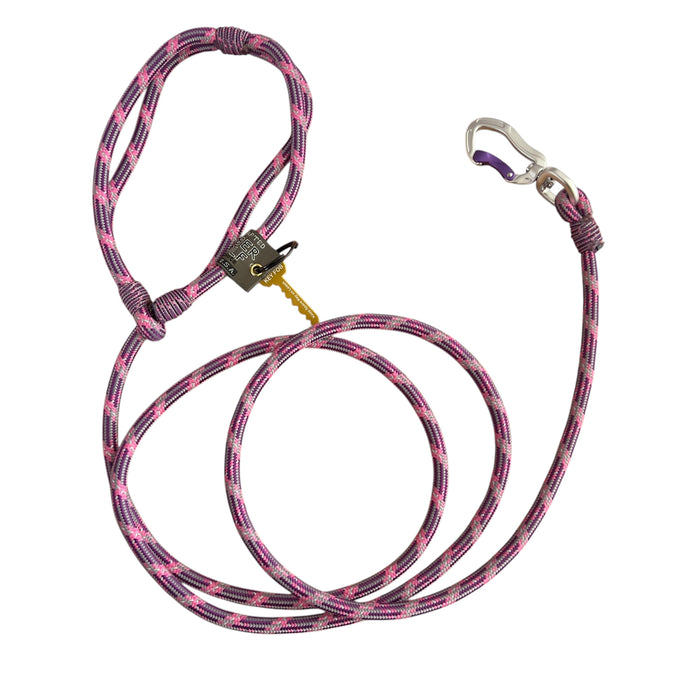 Ascend American Lead