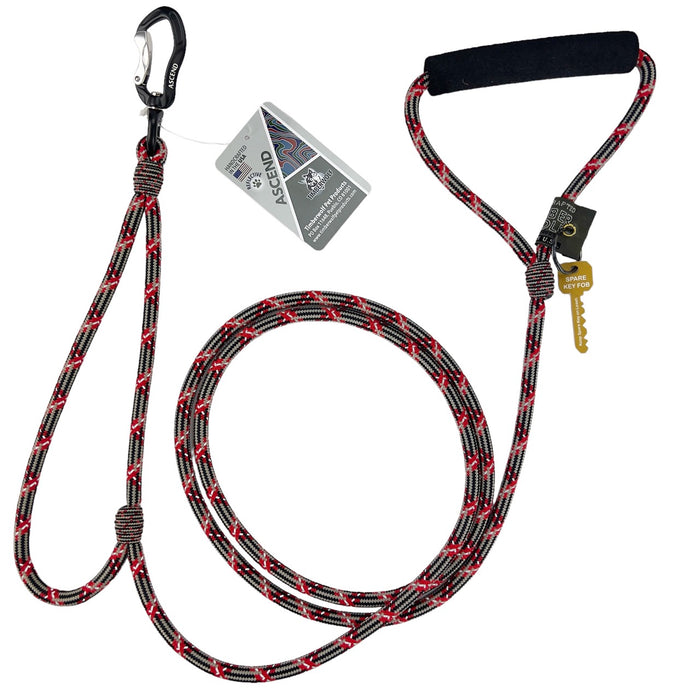 Ascend Alpine Lead