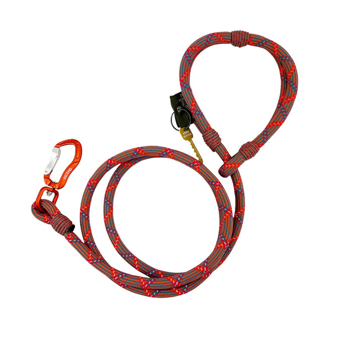 Ascend American Lead