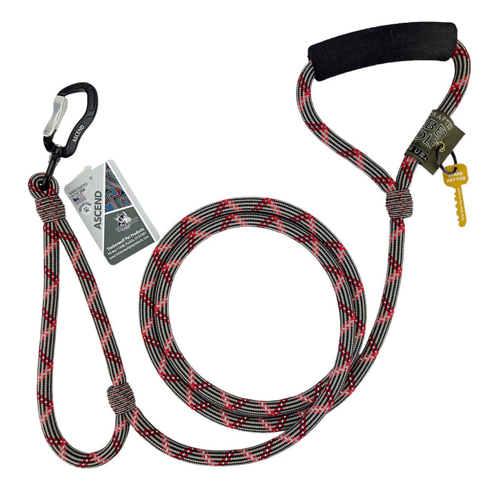 Ascend Alpine Lead