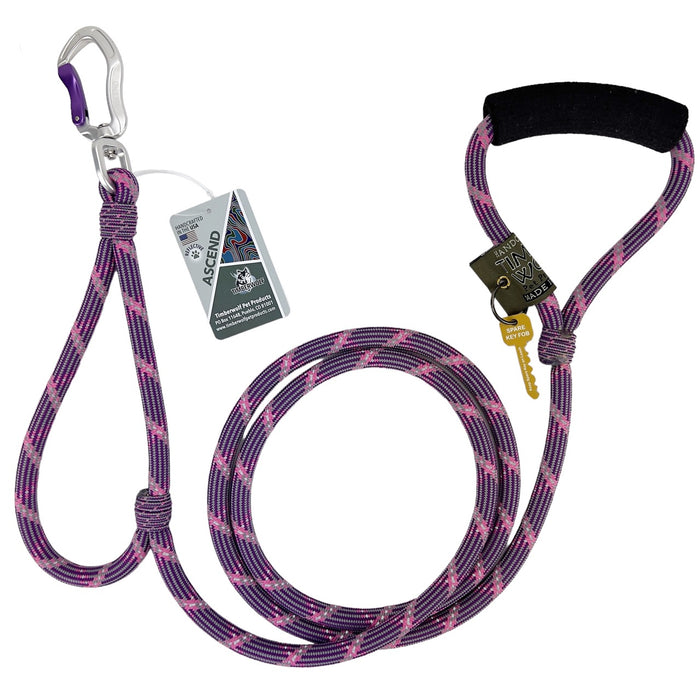 Ascend Alpine Lead