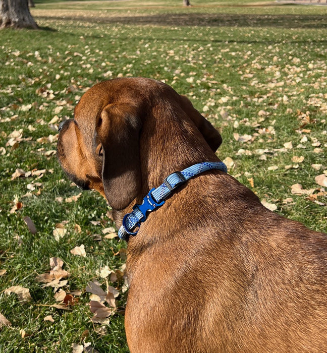 Ascend Alpine Rope Collars
