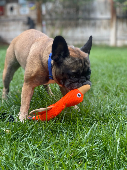 Ballistic Nylon Toys