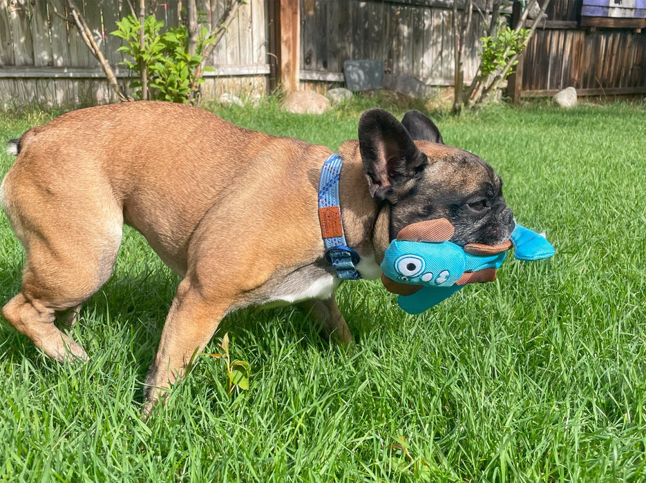 Ballistic Nylon Toys