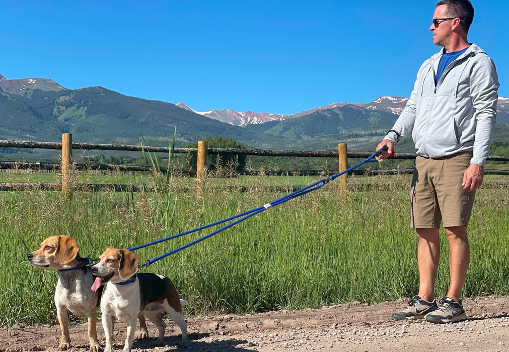 Alpine 2-Dog Lead