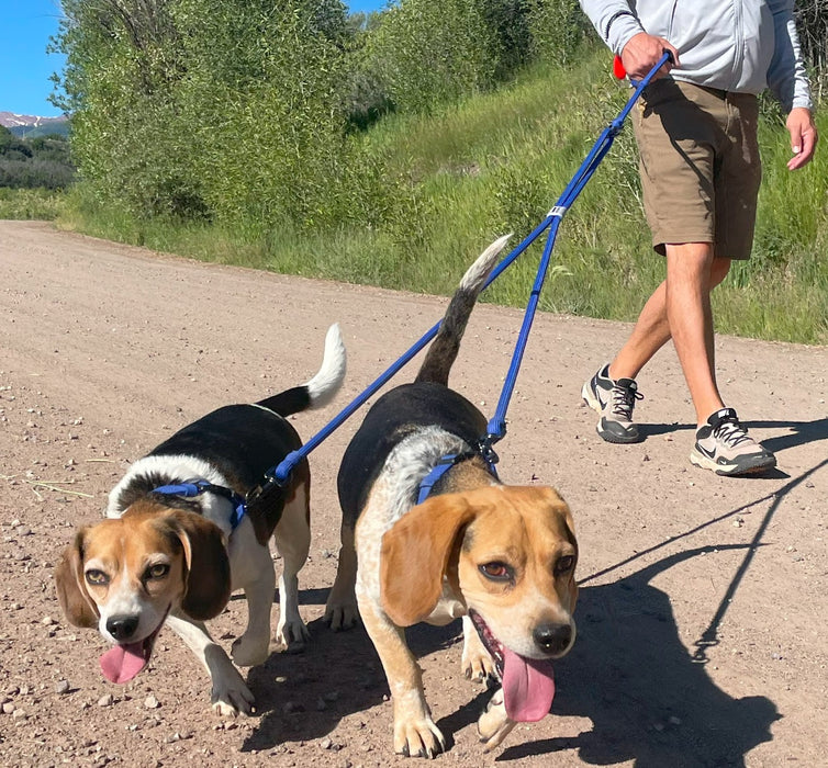 Alpine 2-Dog Lead