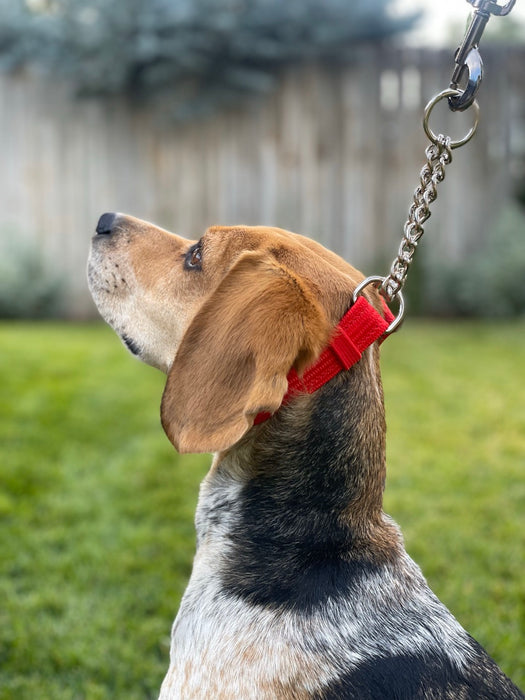 Martingale Collars
