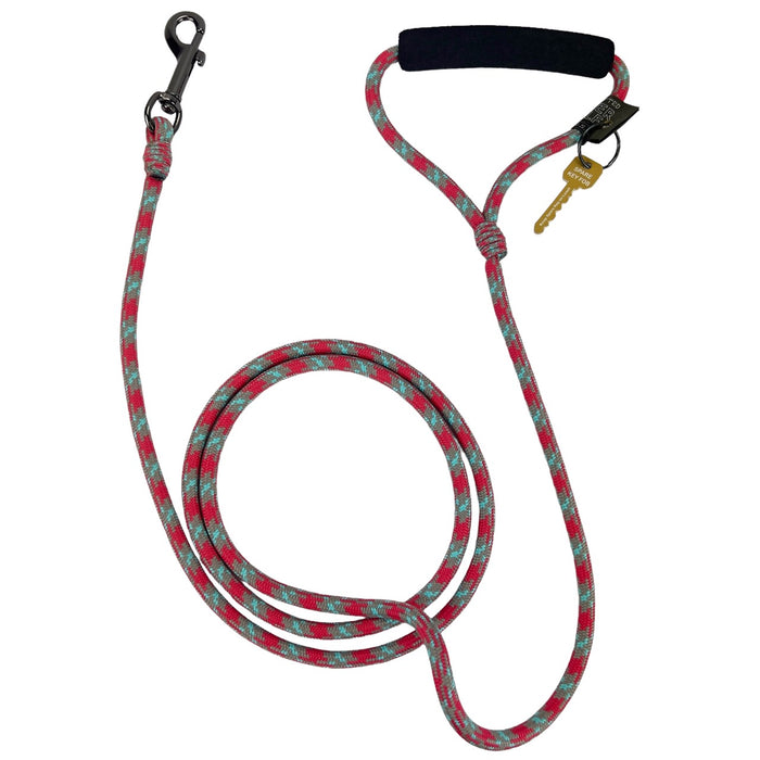 Alpine Lead