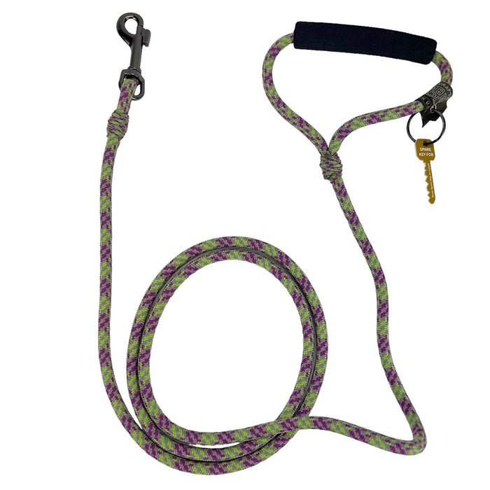 Alpine Lead