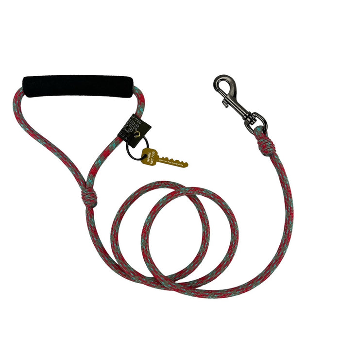 Alpine Lead