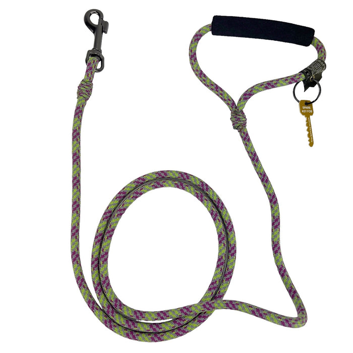 Alpine Lead