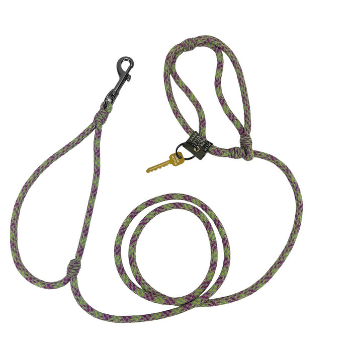 American Lead