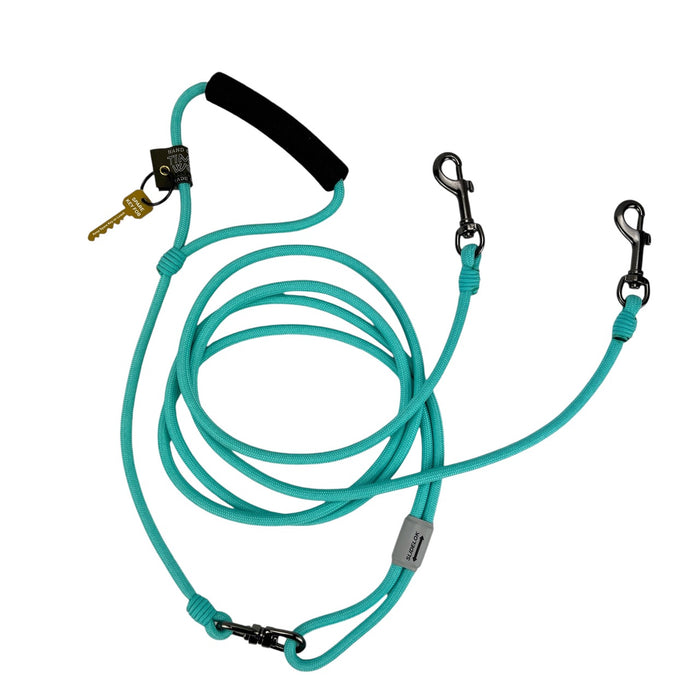 Alpine 2-Dog Lead