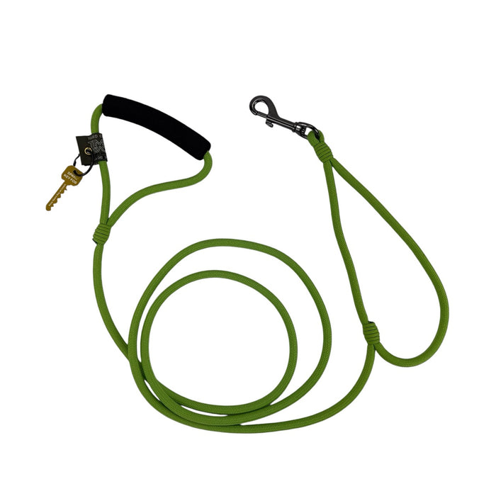 Alpine Lead
