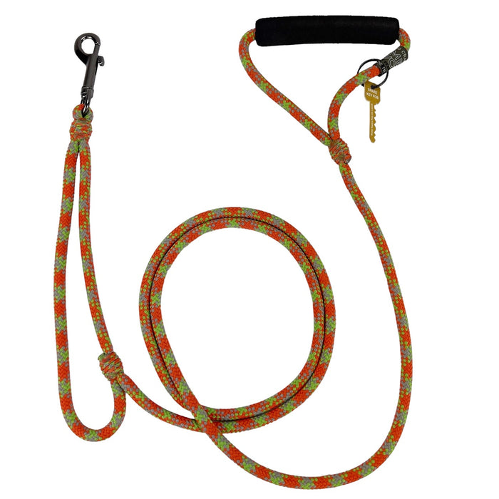 Alpine Lead