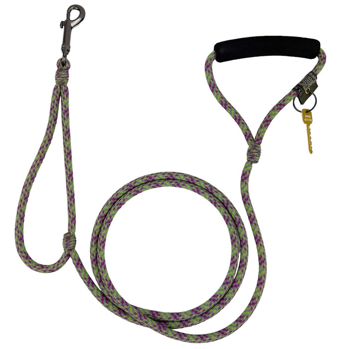 Alpine Lead