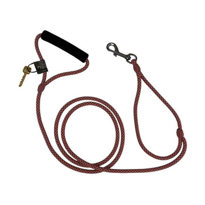 Alpine Lead