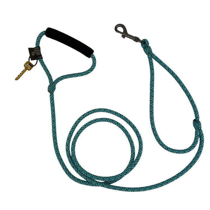 Alpine Lead