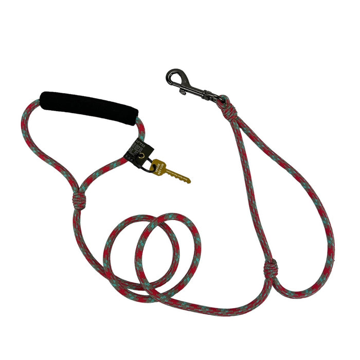 Alpine Lead