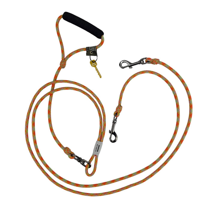 Alpine 2-Dog Lead