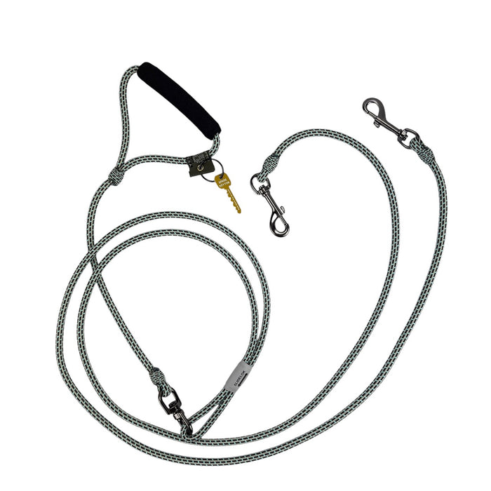 Alpine 2-Dog Lead