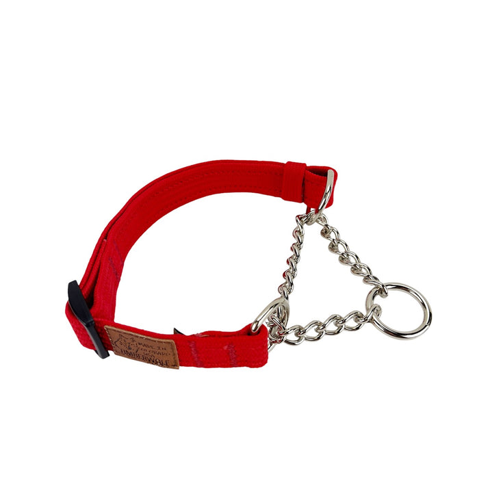 Martingale Collars