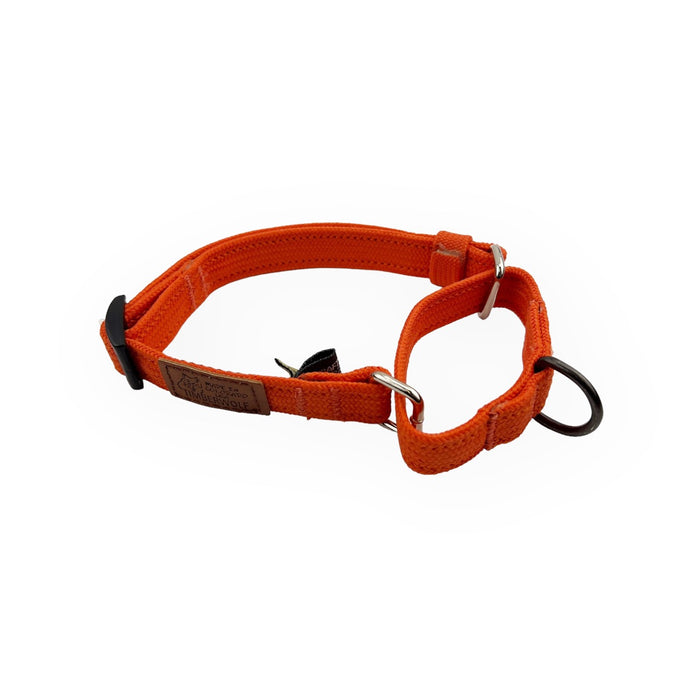 Martingale Collars