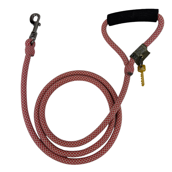 Alpine Lead