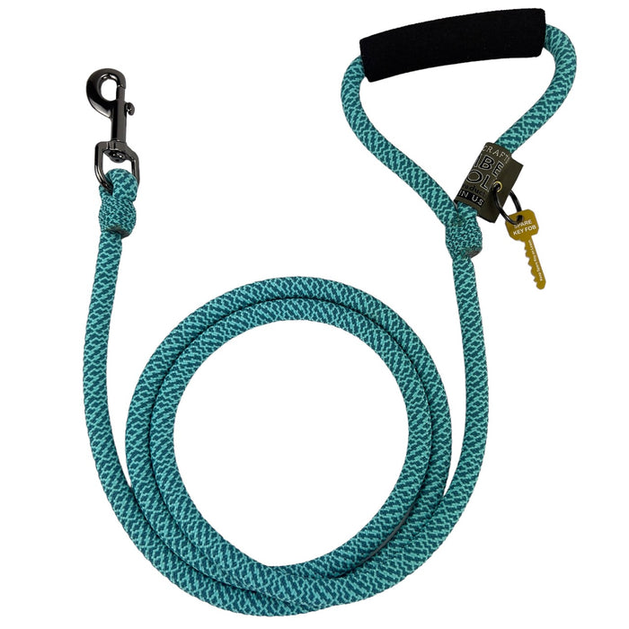Alpine Lead