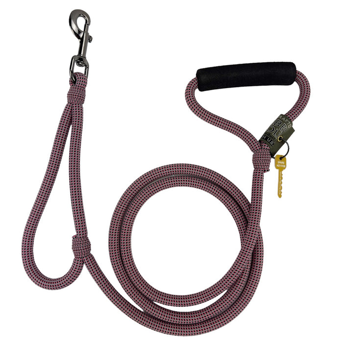 Alpine Lead