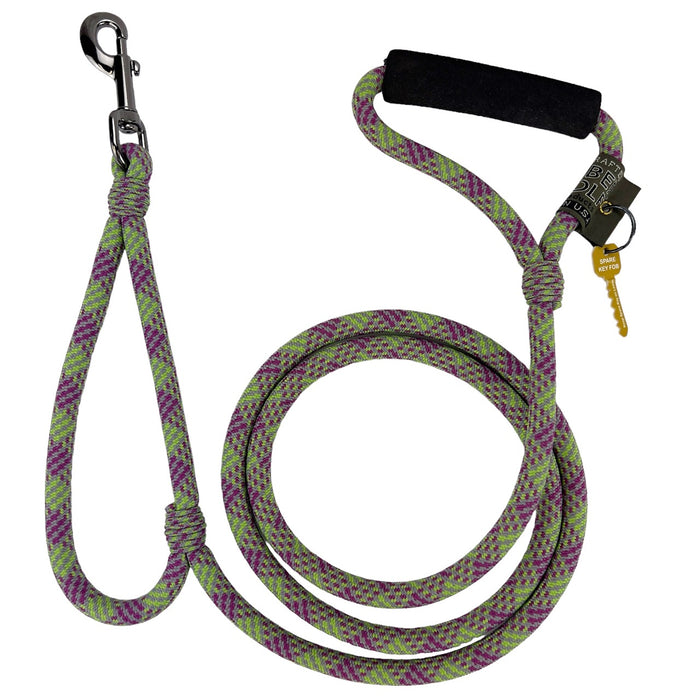 Alpine Lead