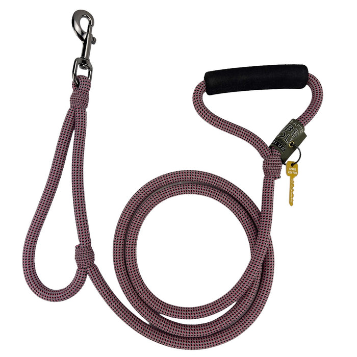 Alpine Lead
