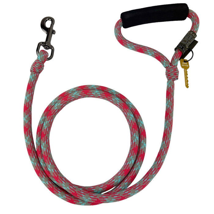 Alpine Lead