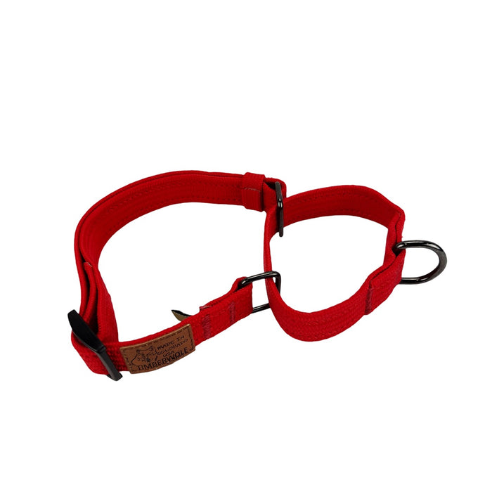 Martingale Collars