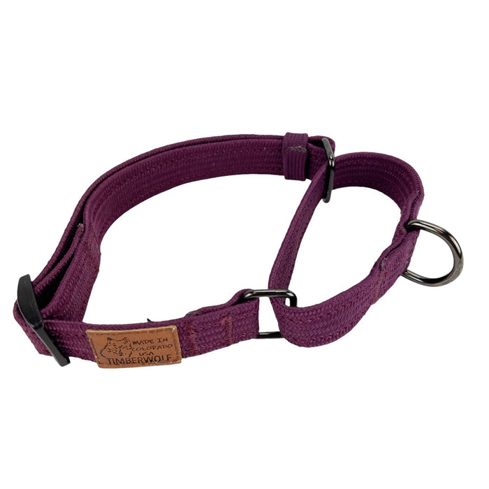 Martingale Collars
