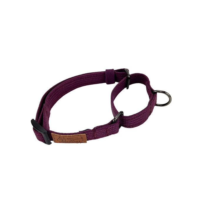 Martingale Collars